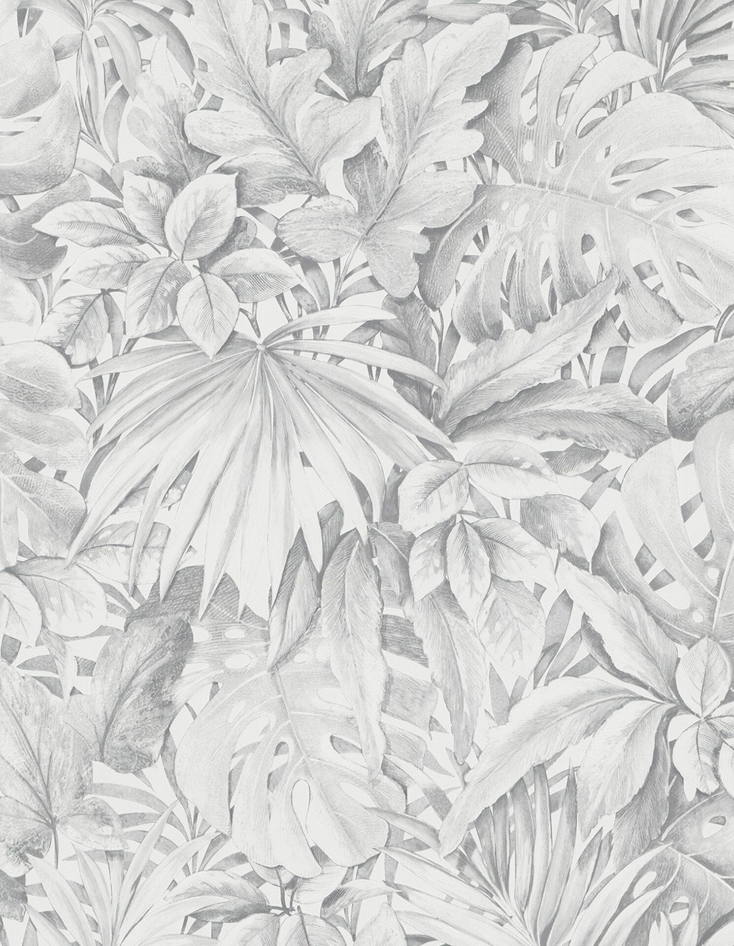 33308 Wallpaper Botanica - Image 2